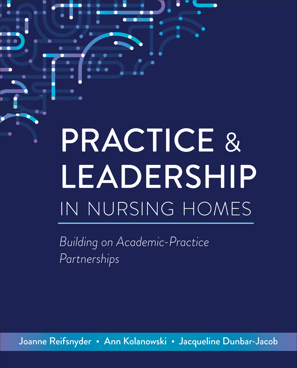 Practice & Leadership in Nursing Homes Building on Academic-Practice Partnerships  â€“ PDF/EPUB Version Downloadable