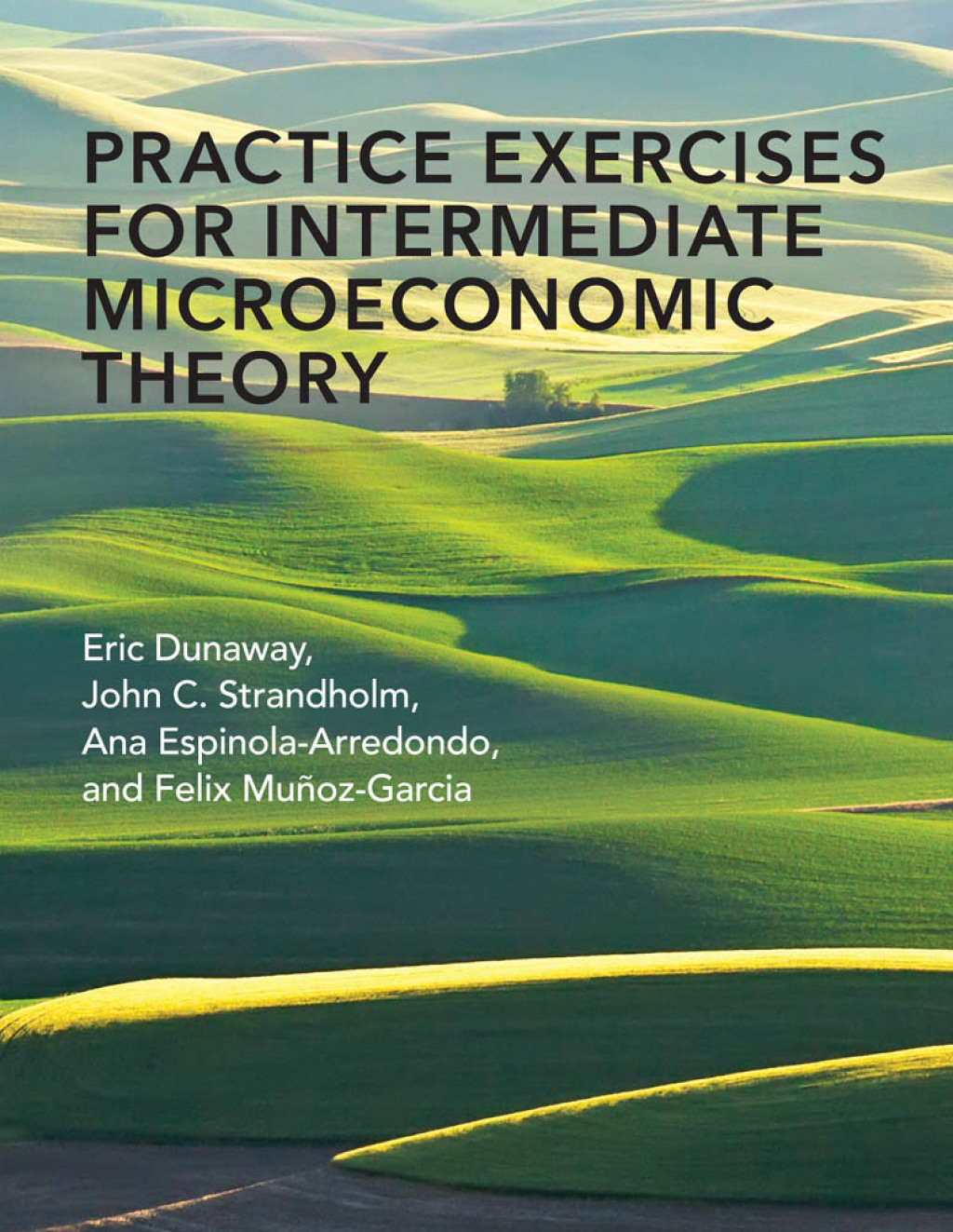 Practice Exercises for Intermediate Microeconomic Theory  â€“ PDF/EPUB Version Downloadable