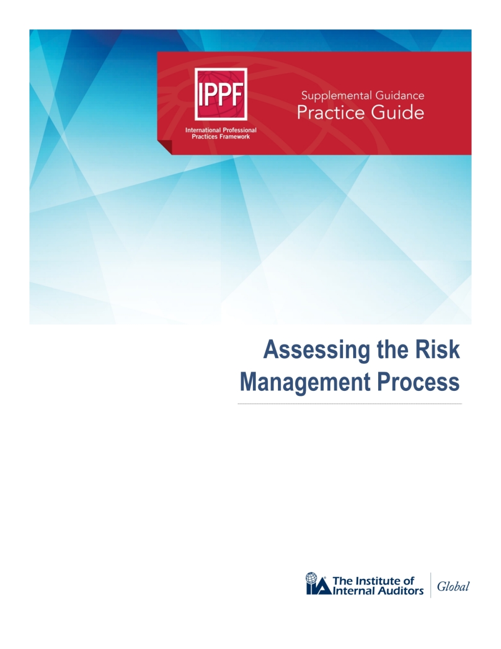 Practice Guide: Assessing the Risk Management Process  â€“ PDF/EPUB Version Downloadable