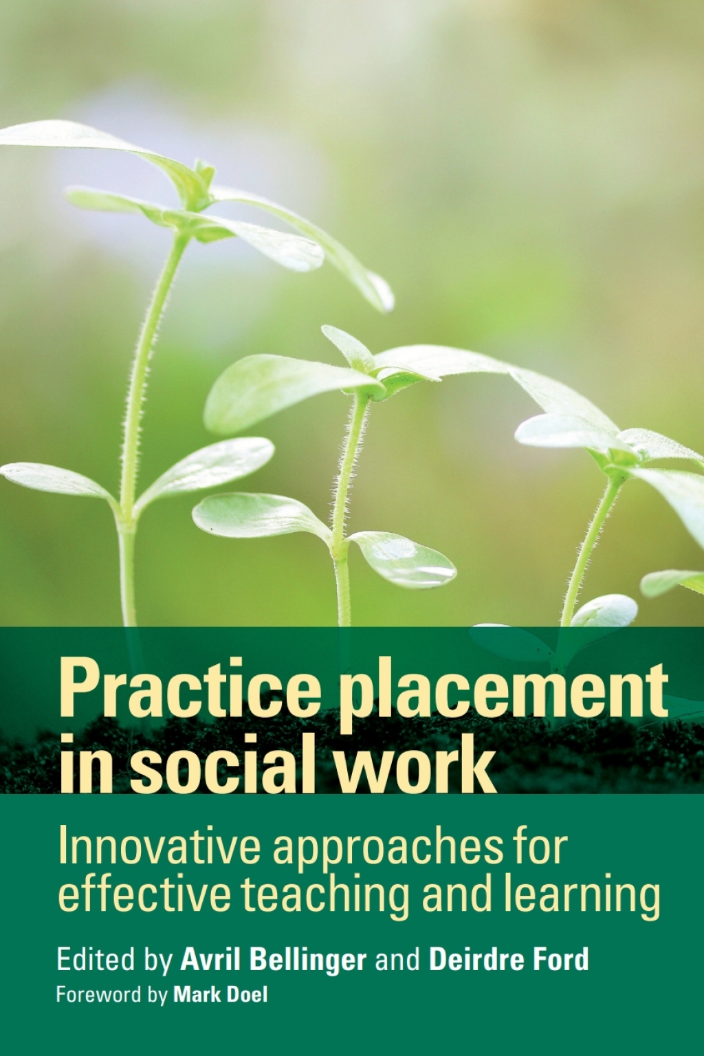 Practice Placement in Social Work Innovative Approaches for Effective Teaching and Learning 1st Edition â€“ PDF/EPUB Version Downloadable