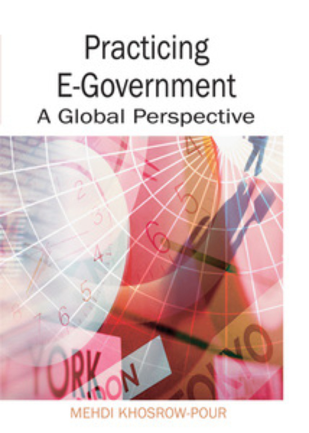 Practicing E-Government  â€“ PDF/EPUB Version Downloadable