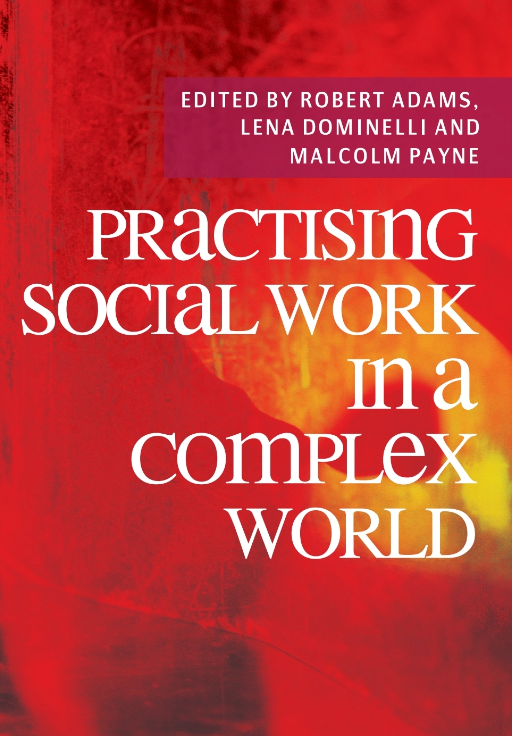 Practising Social Work in a Complex World 2nd Edition â€“ PDF/EPUB Version Downloadable