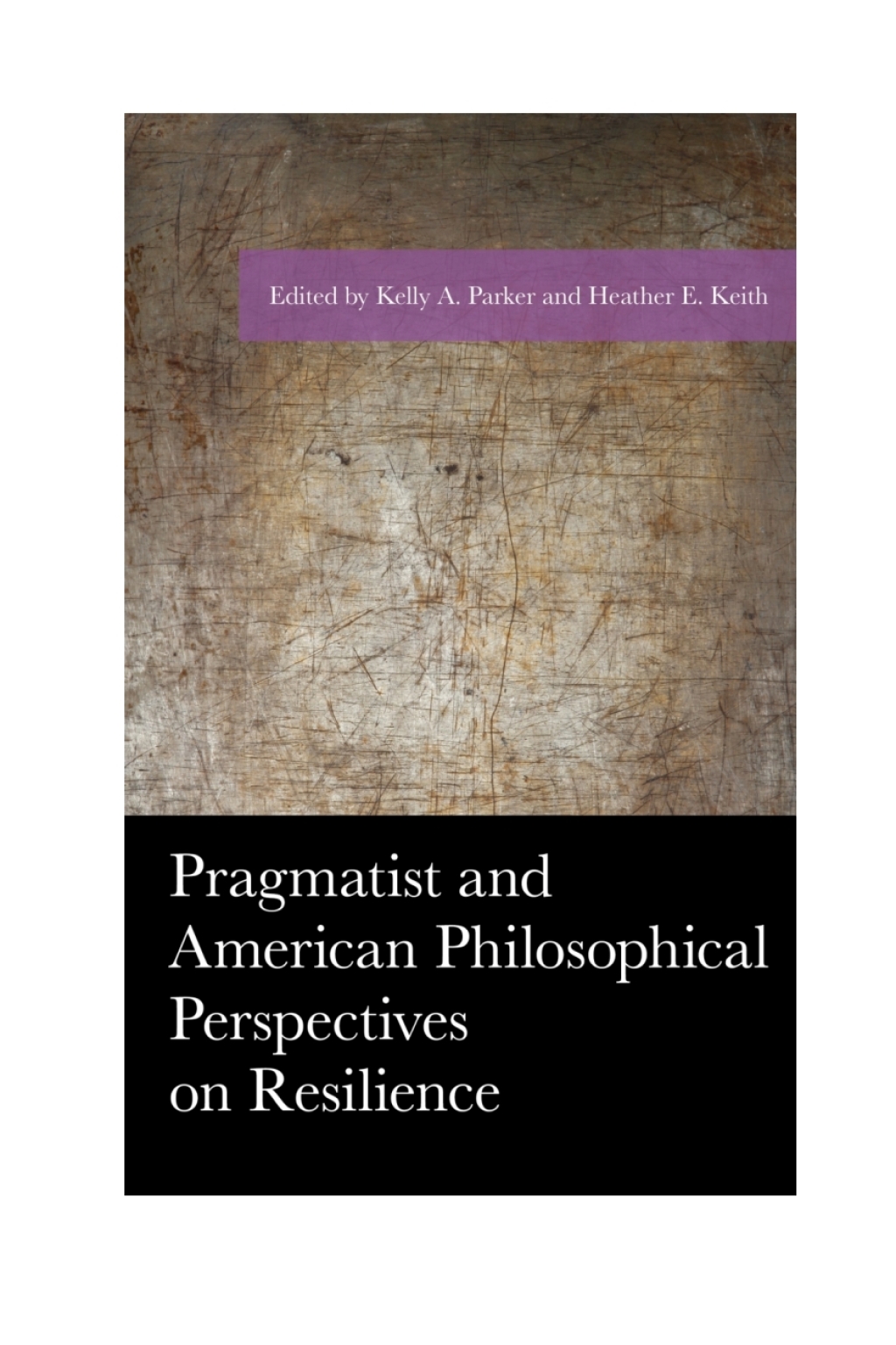 Pragmatist and American Philosophical Perspectives on Resilience 1st Edition â€“ PDF/EPUB Version Downloadable