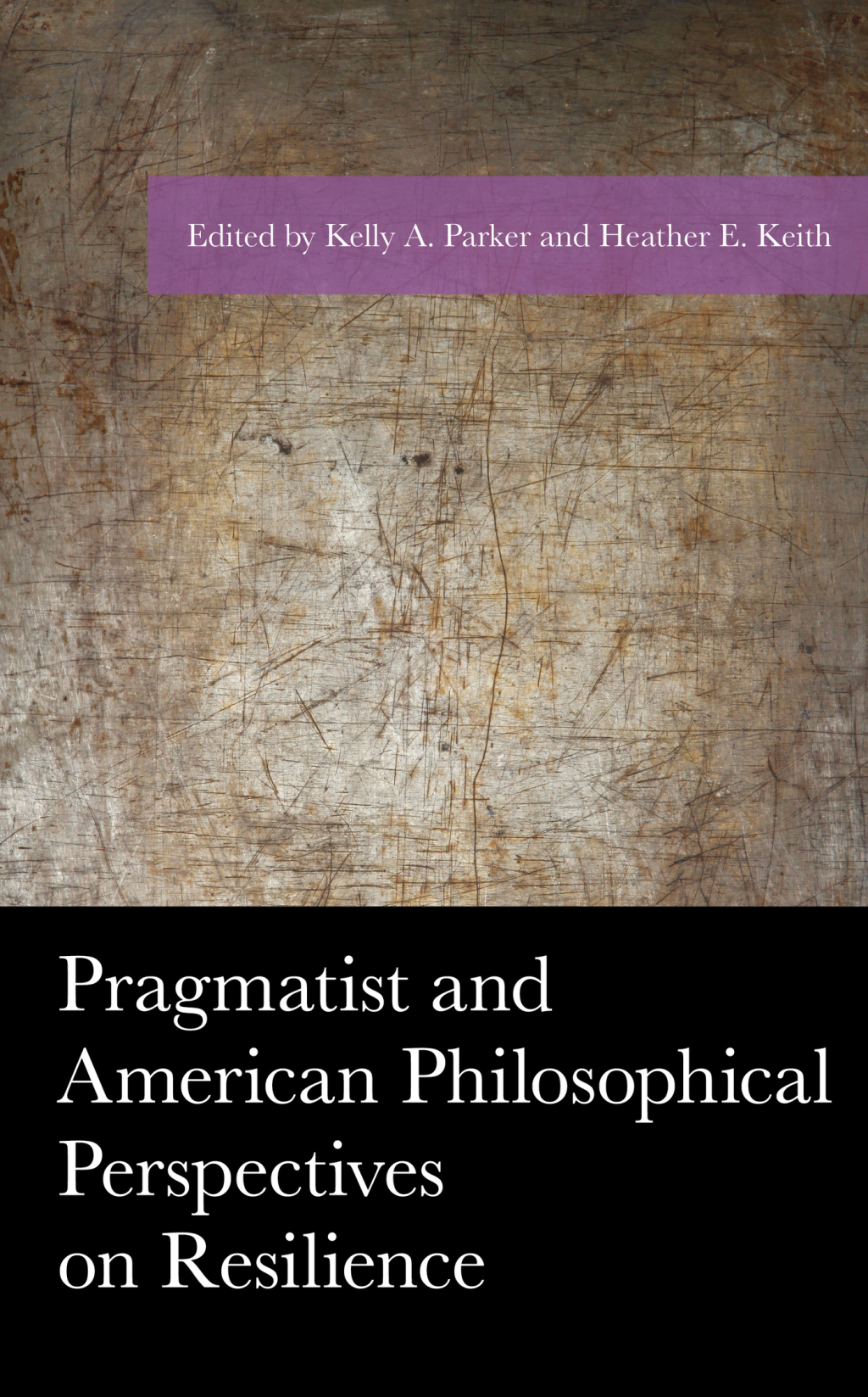 Pragmatist and American Philosophical Perspectives on Resilience 1st Edition â€“ PDF/EPUB Version Downloadable