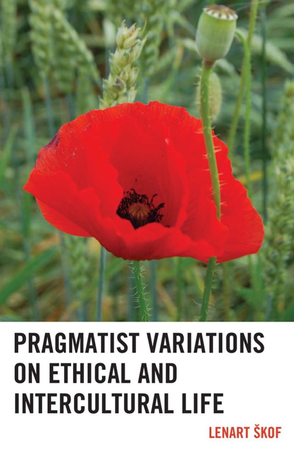 Pragmatist Variations on Ethical and Intercultural Life 1st Edition â€“ PDF/EPUB Version Downloadable