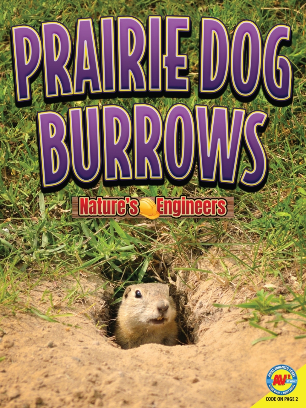 Prairie Dog Burrows 1st Edition â€“ PDF/EPUB Version Downloadable