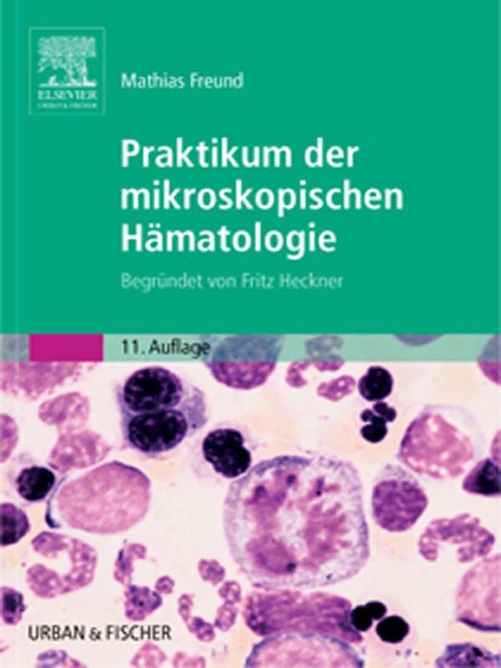 Praktikum der mikroskopischen HÃ¤matologie BegrÃ¼ndet von Fritz Heckner 11th Edition â€“ PDF/EPUB Version Downloadable