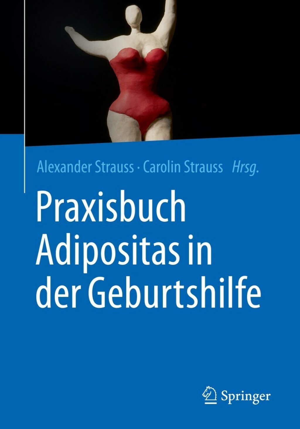 Praxisbuch Adipositas in der Geburtshilfe  â€“ PDF/EPUB Version Downloadable