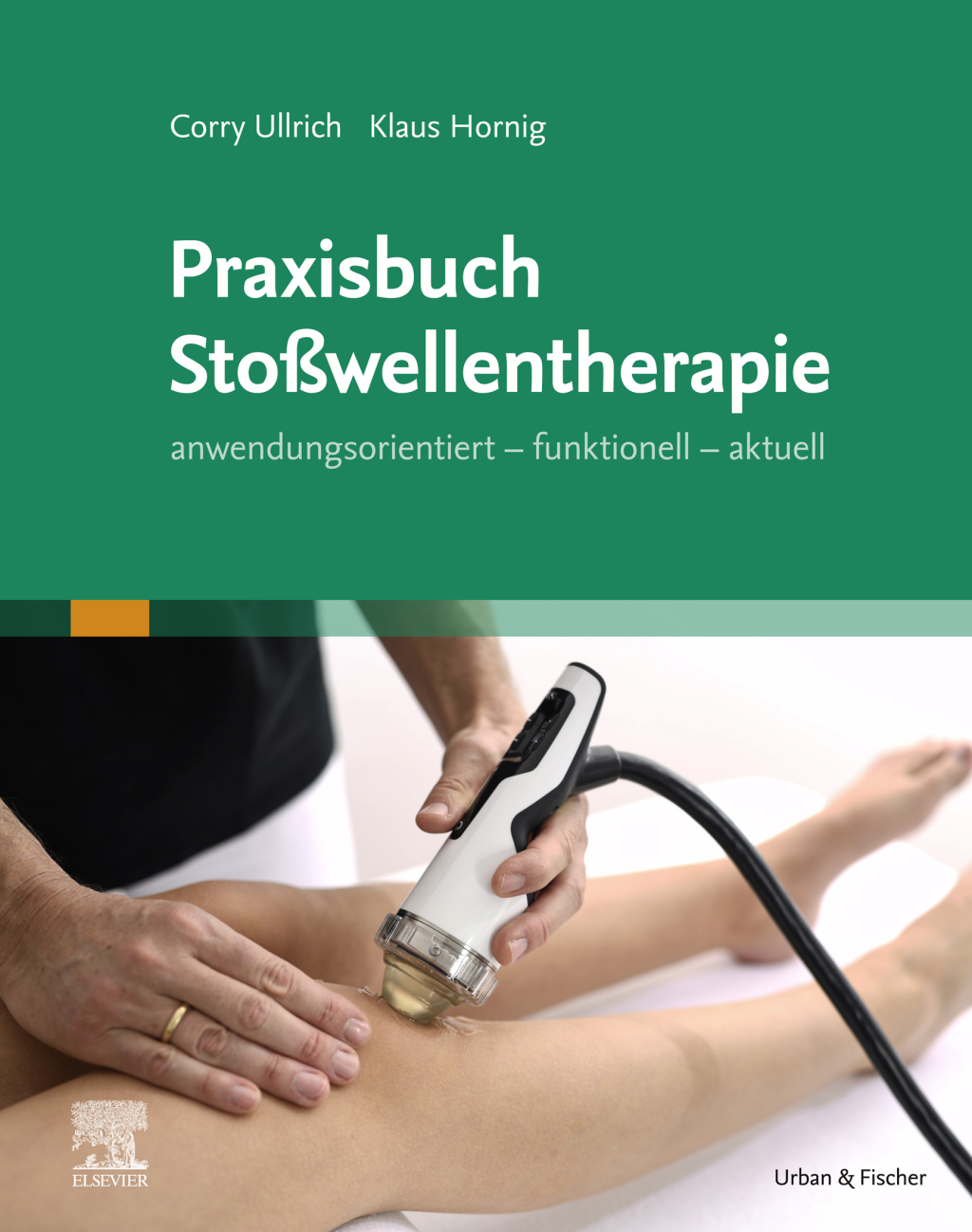 Praxisbuch StoÃŸwellentherapie  â€“ PDF/EPUB Version Downloadable