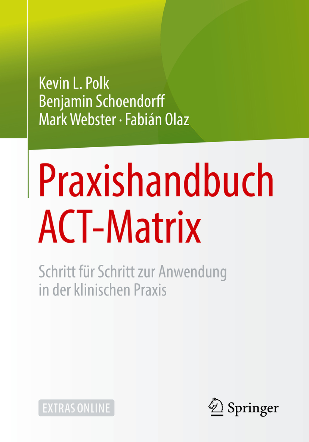 Praxishandbuch ACT-Matrix Schritt fÃ¼r Schritt zur Anwendung in der klinischen Praxis  â€“ PDF/EPUB Version Downloadable
