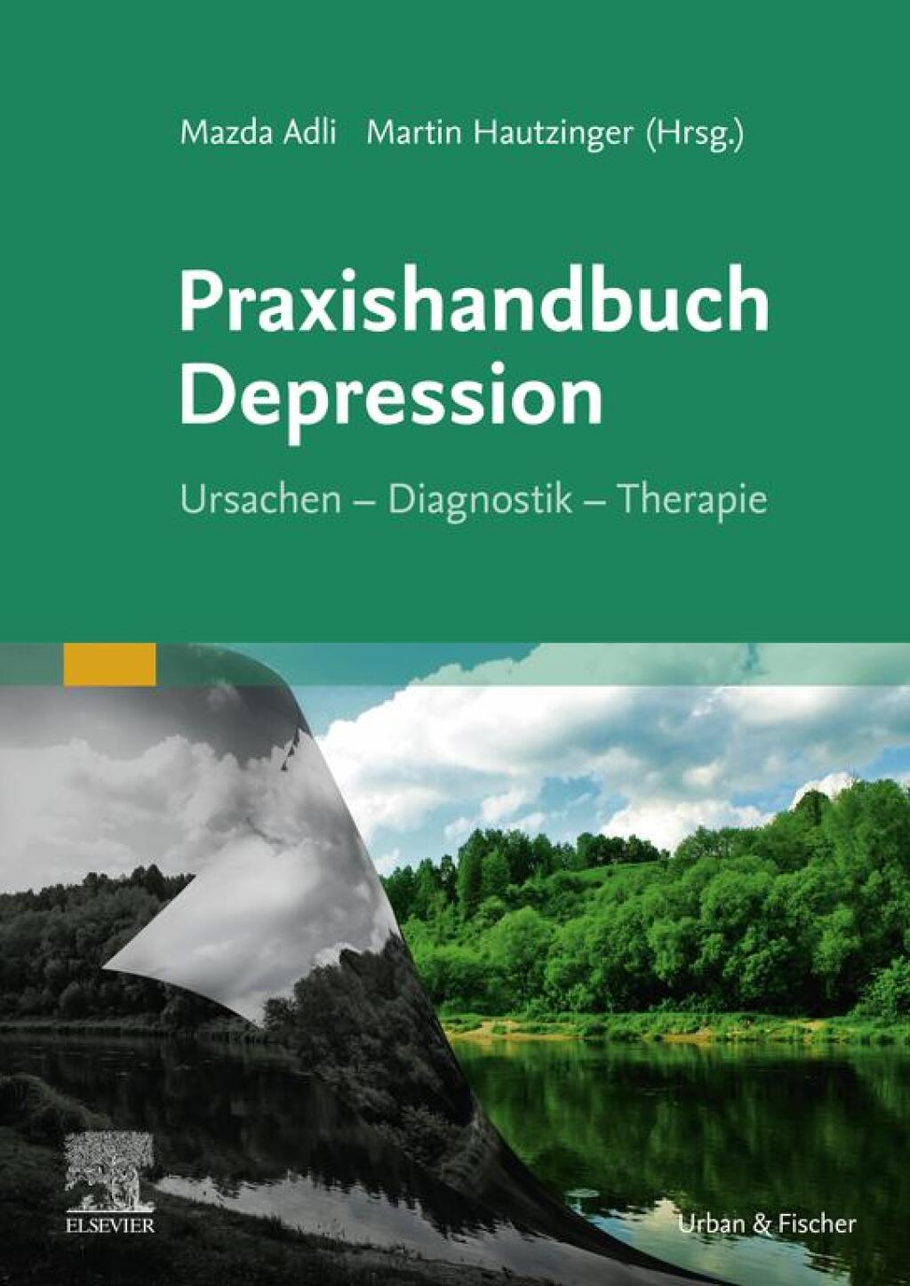Praxishandbuch Depression Ursachen - Diagnostik - Therapie 1st Edition â€“ PDF/EPUB Version Downloadable
