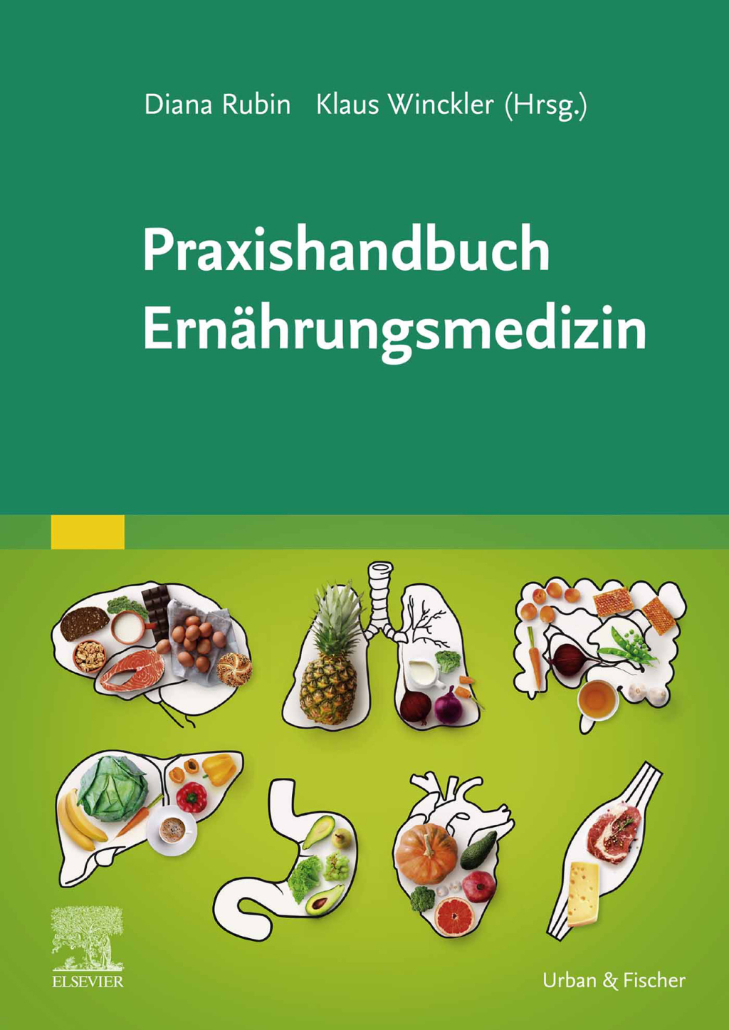 Praxishandbuch ErnÃ¤hrungsmedizin 1st Edition â€“ PDF/EPUB Version Downloadable