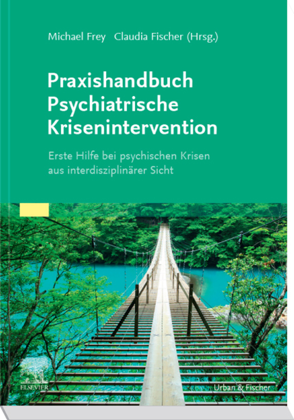 Praxishandbuch Psychiatrische Krisenintervention Erste Hilfe bei Krisen aus interdisziplinÃ¤rer Sicht  â€“ PDF/EPUB Version Downloadable
