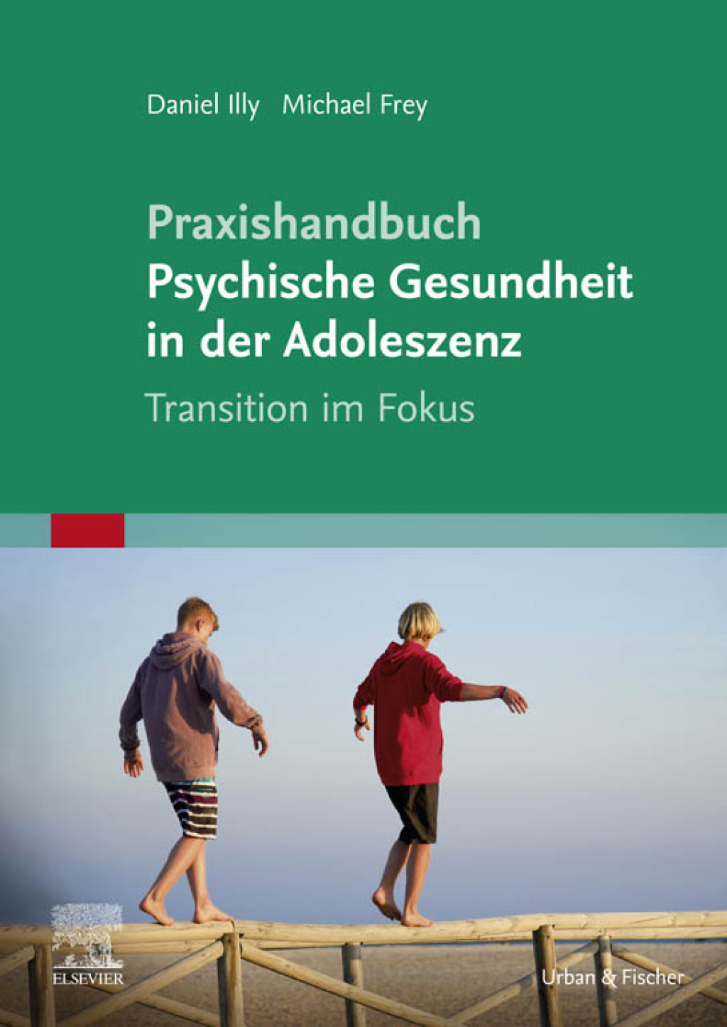Praxishandbuch Psychische Gesundheit in der Adoleszenz Im Fokus der Transition 1st Edition â€“ PDF/EPUB Version Downloadable