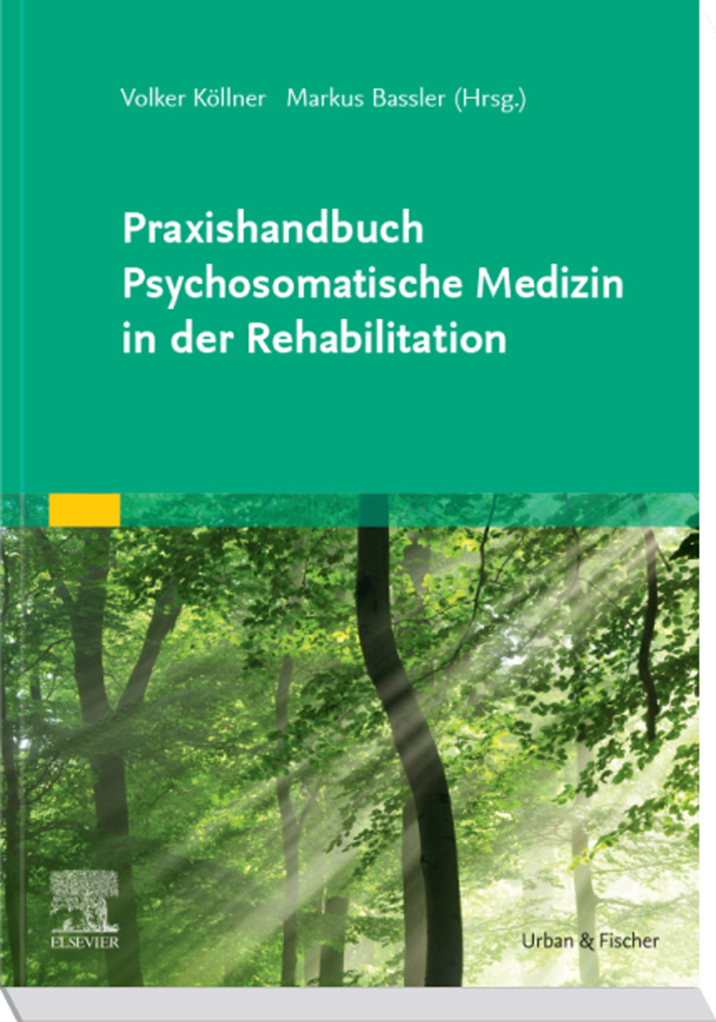 Praxishandbuch Psychosomatische Medizin in der Rehabilitation 1st Edition â€“ PDF/EPUB Version Downloadable