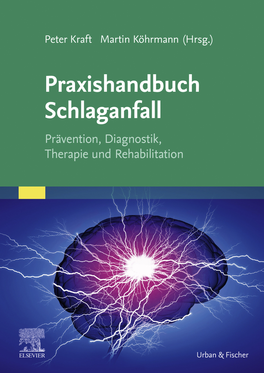Praxishandbuch Schlaganfall PrÃ¤vention, Diagnostik, Therapie und Rehabilitation 1st Edition â€“ PDF/EPUB Version Downloadable