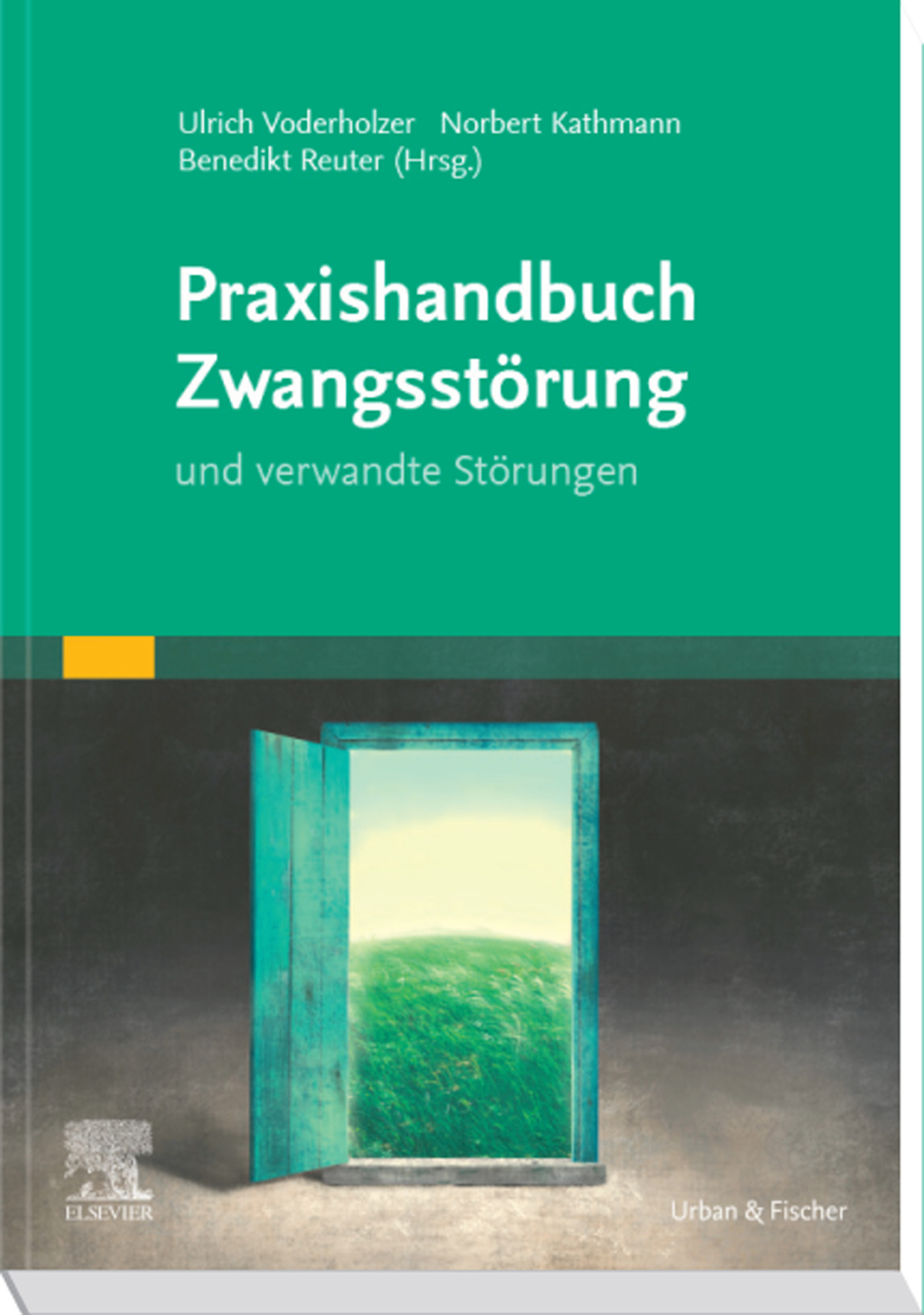 Praxishandbuch ZwangsstÃ¶rung und verwandte StÃ¶rungen 1st Edition â€“ PDF/EPUB Version Downloadable