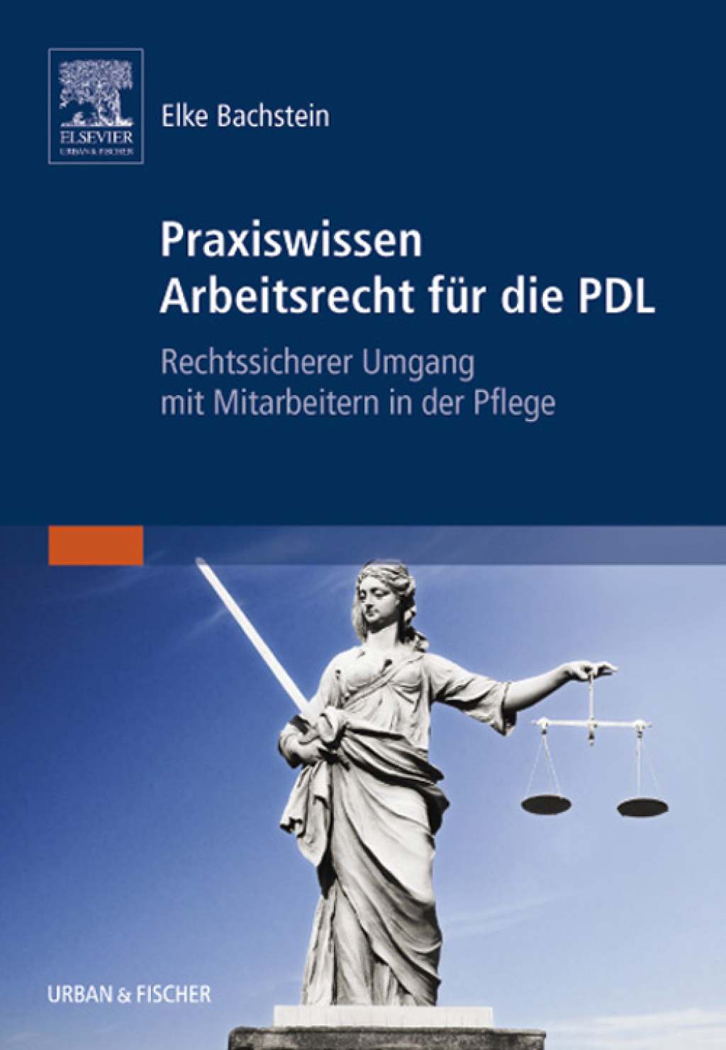 Praxiswissen Arbeitsrecht fÃ¼r die PDL Rechtssicherer Umgang mit Mitarbeitern in der Pflege - (PDF/EPUB Version)