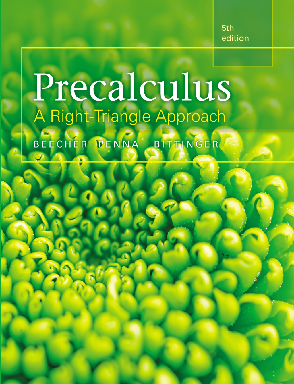 Precalculus: A Right Triangle Approach 5th Edition â€“ PDF/EPUB Version Downloadable