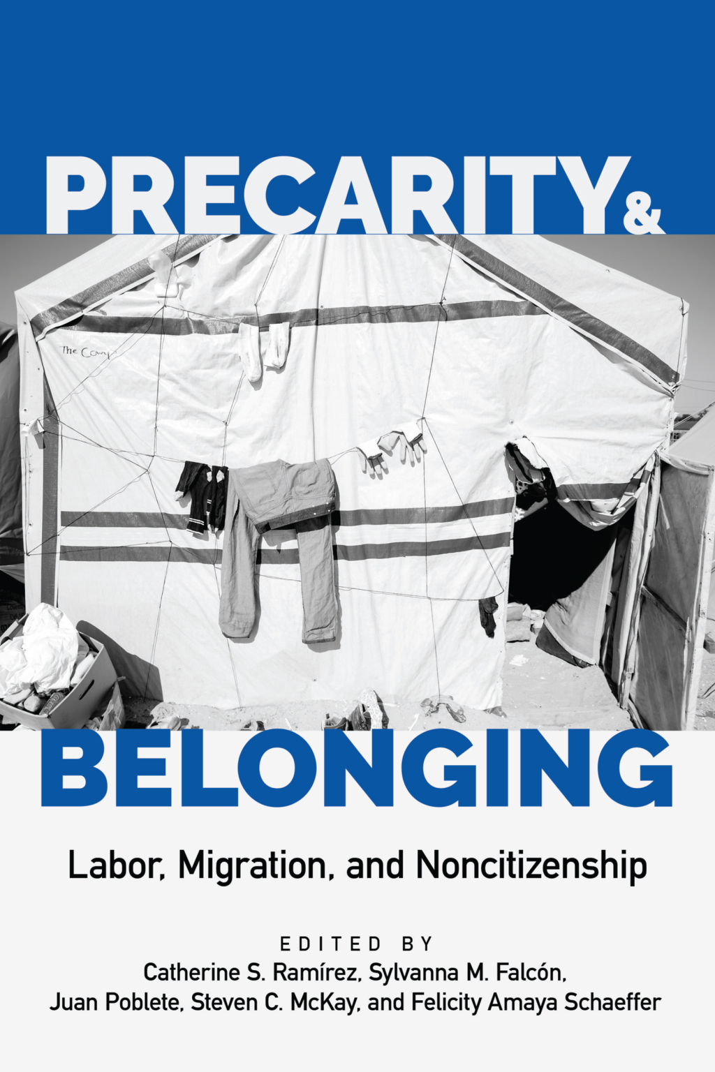 Precarity and Belonging Labor, Migration, and Noncitizenship  â€“ PDF/EPUB Version Downloadable