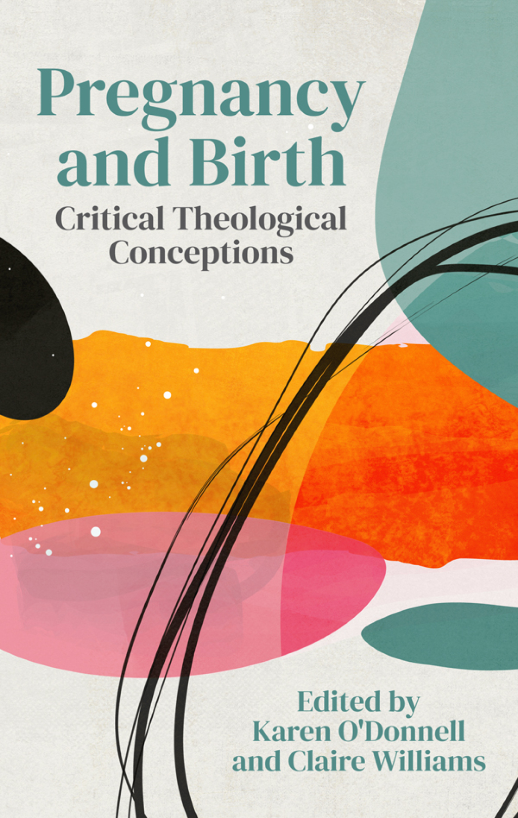 Pregnancy and Birth Critical Theological Conceptions  â€“ PDF/EPUB Version Downloadable