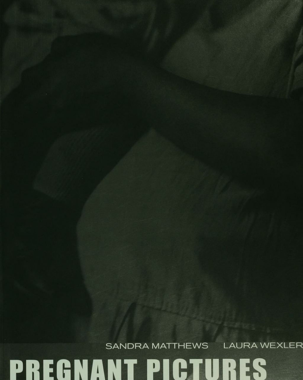 Pregnant Pictures 1st Edition â€“ PDF/EPUB Version Downloadable