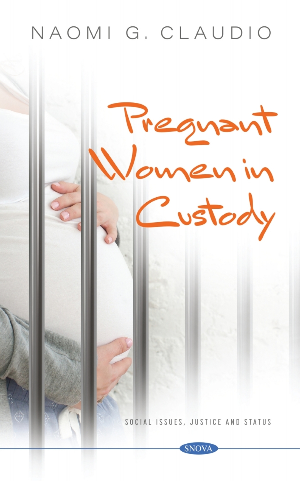 Pregnant Women in Custody  â€“ PDF/EPUB Version Downloadable