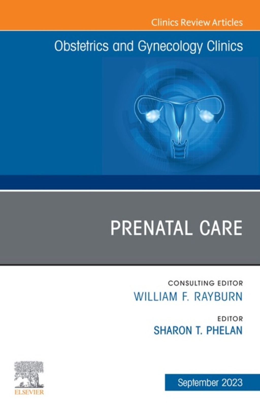 Prenatal Care, An Issue of Obstetrics and Gynecology Clinics 1st Edition â€“ PDF/EPUB Version Downloadable