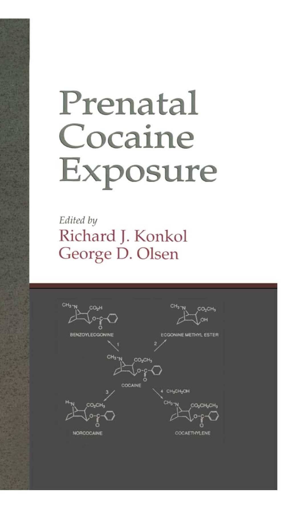 Prenatal Cocaine Exposure 1st Edition â€“ PDF/EPUB Version Downloadable