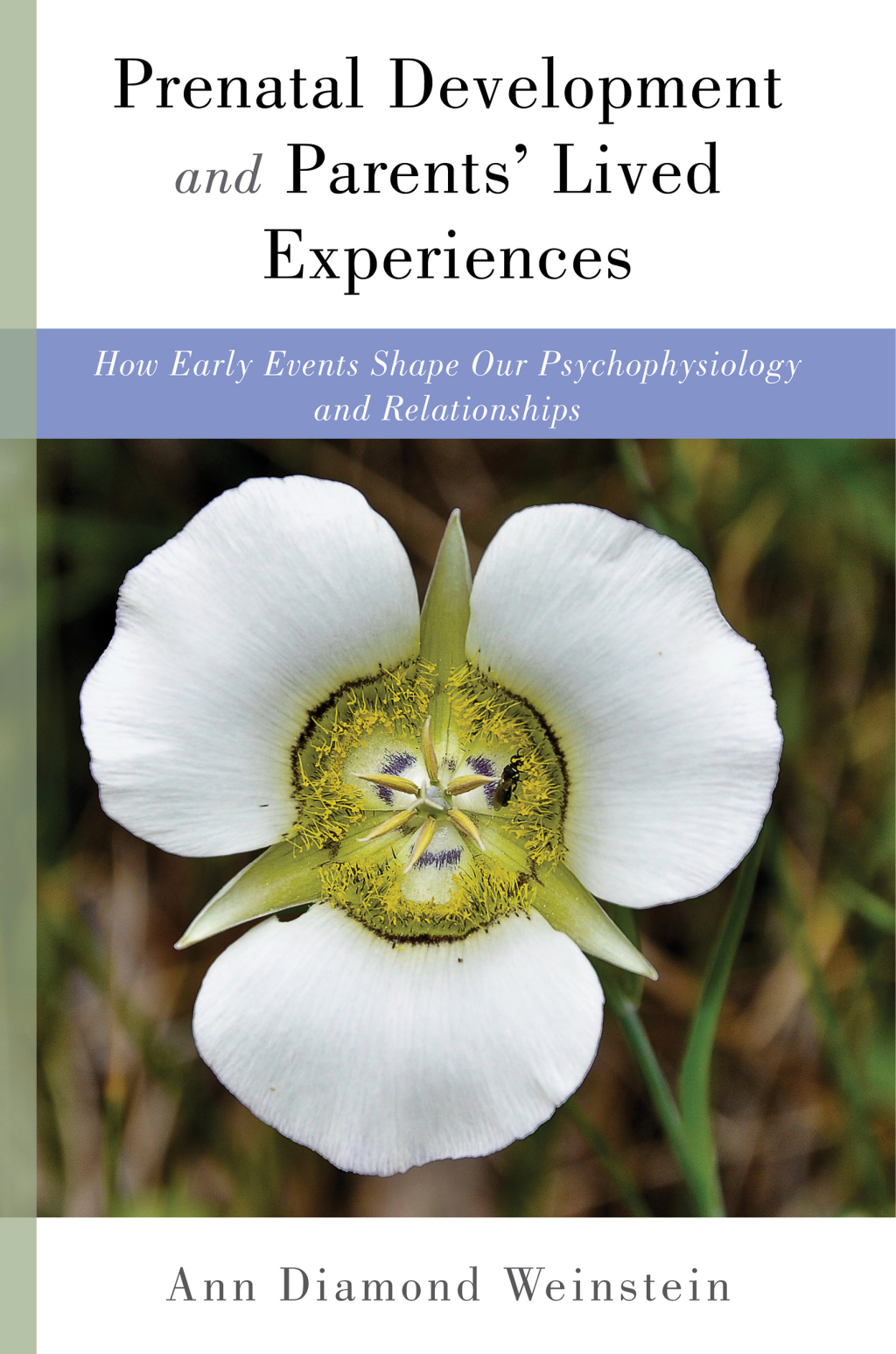 Prenatal Development and Parents' Lived Experiences How Early Events Shape Our Psychophysiology and Relationships  â€“ PDF/EPUB Version Downloadable