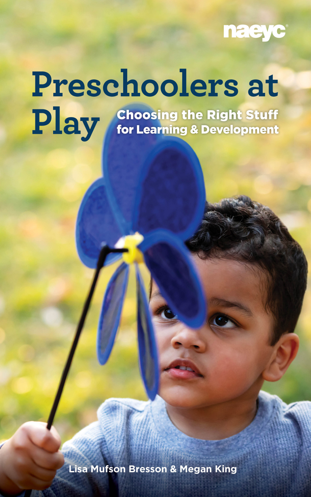 Preschoolers at Play Choosing the Right Stuff for Learning and Development - (PDF/EPUB Version)