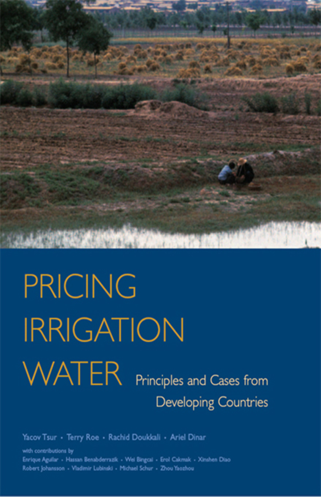 Pricing Irrigation Water Principles and Cases from Developing Countries 1st Edition â€“ PDF/EPUB Version Downloadable
