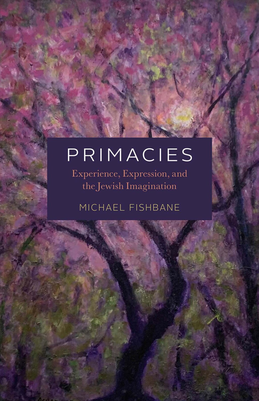 Primacies Experience, Expression, and the Jewish Imagination  â€“ PDF/EPUB Version Downloadable
