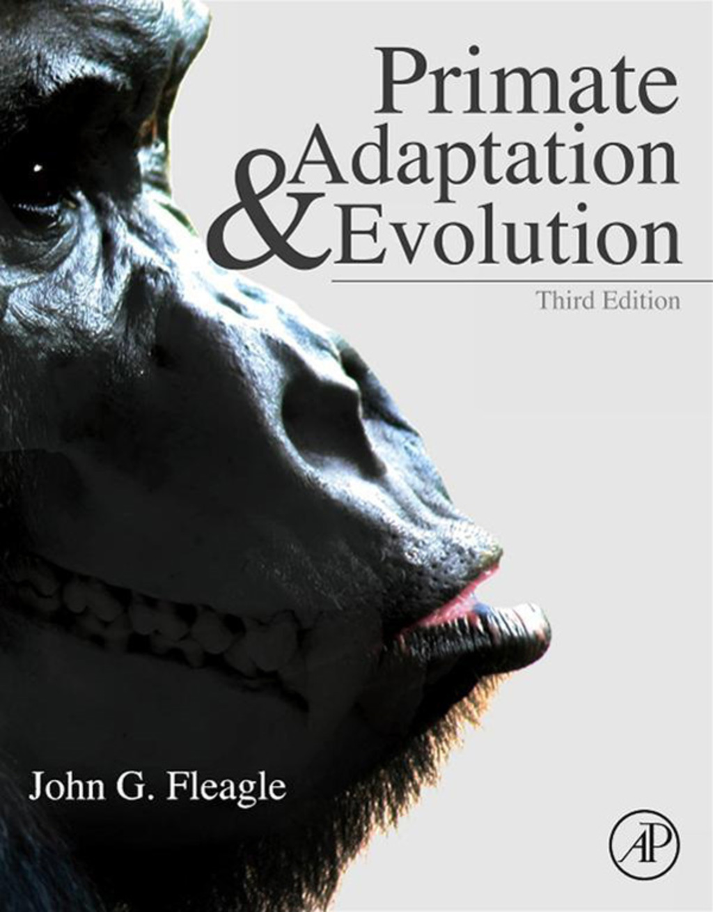 Primate Adaptation and Evolution 3rd Edition â€“ PDF/EPUB Version Downloadable