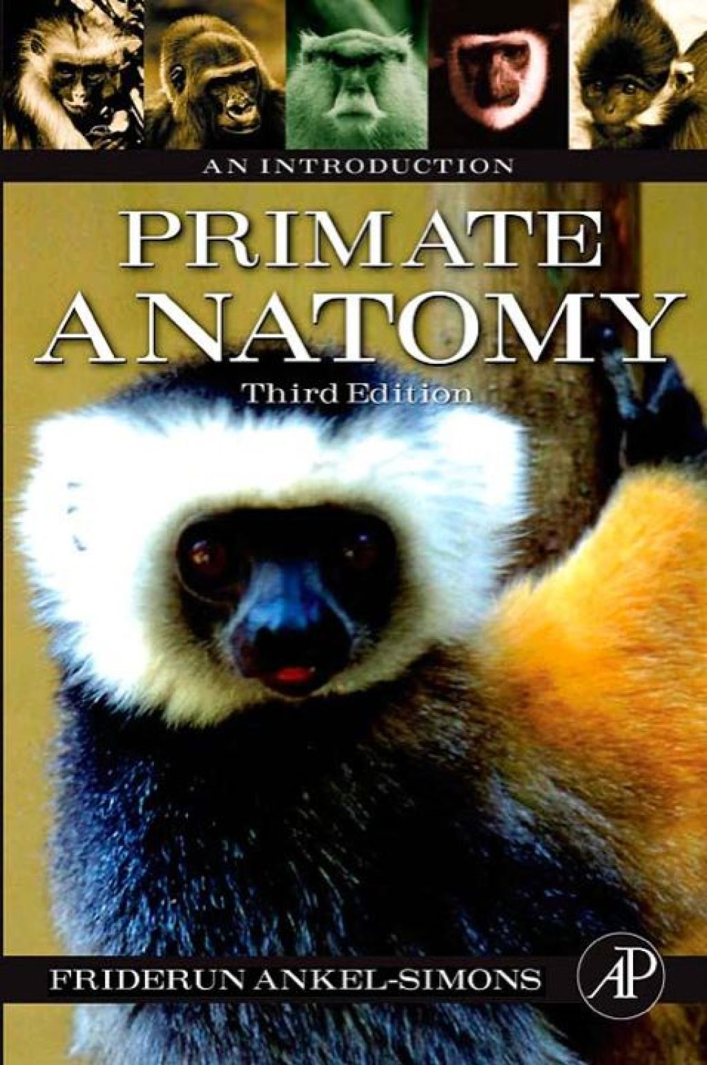 Primate Anatomy: An Introduction 3rd Edition â€“ PDF/EPUB Version Downloadable