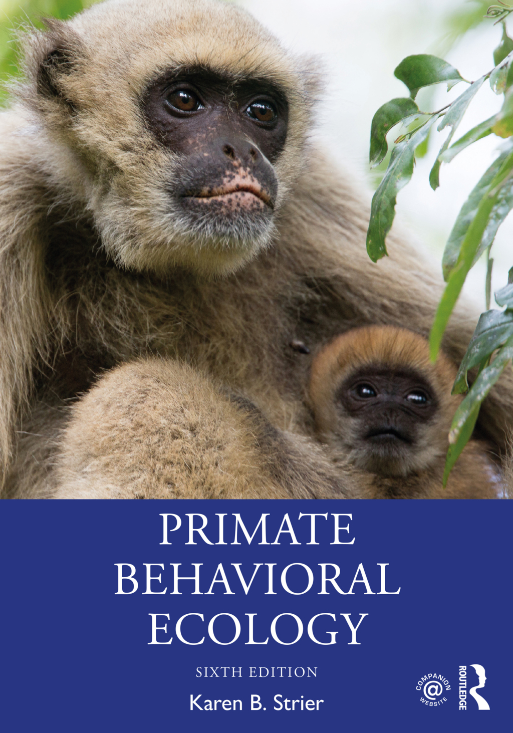 Primate Behavioral Ecology 6th Edition â€“ PDF/EPUB Version Downloadable