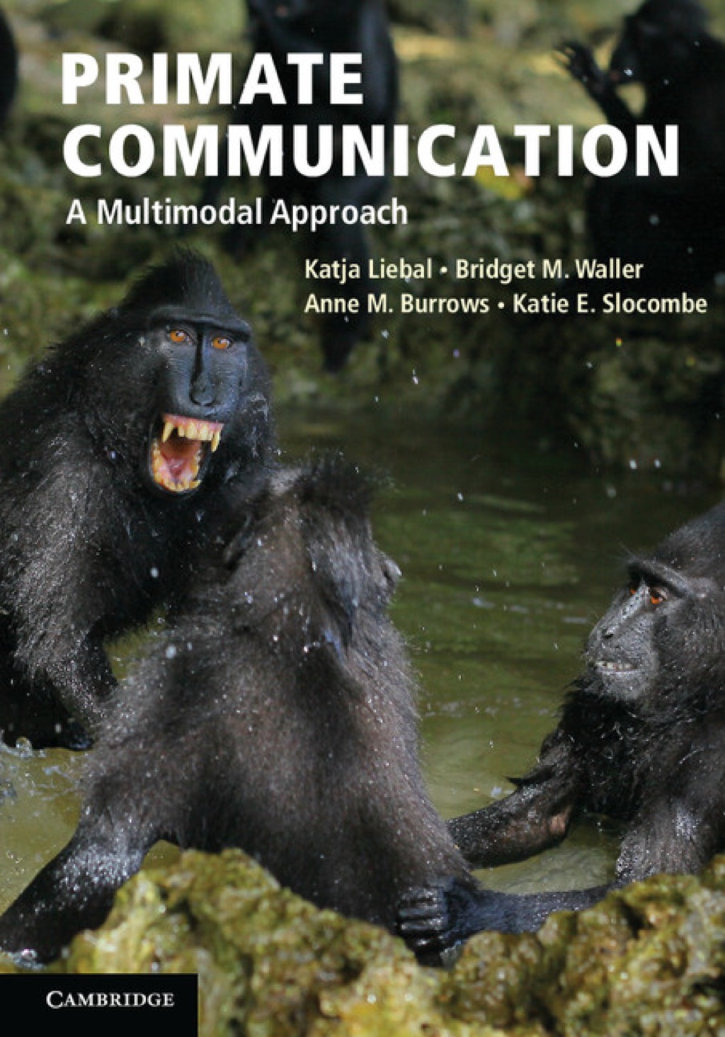 Primate Communication A Multimodal Approach 1st Edition â€“ PDF/EPUB Version Downloadable
