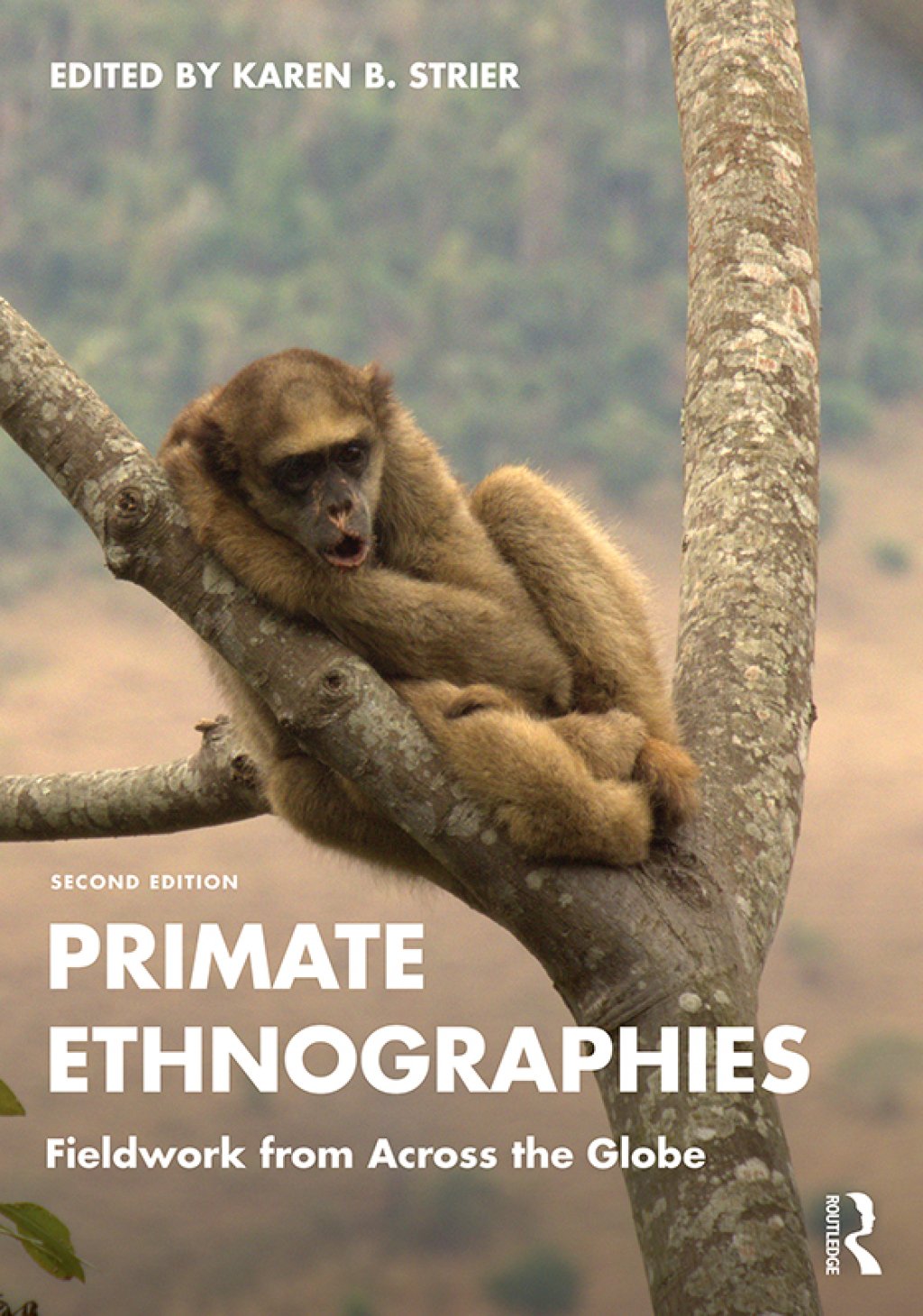 Primate Ethnographies Fieldwork from Across the Globe 2nd Edition â€“ PDF/EPUB Version Downloadable