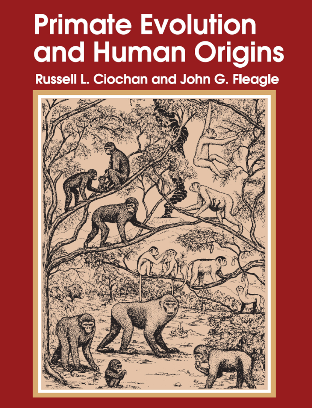 Primate Evolution and Human Origins 1st Edition â€“ PDF/EPUB Version Downloadable
