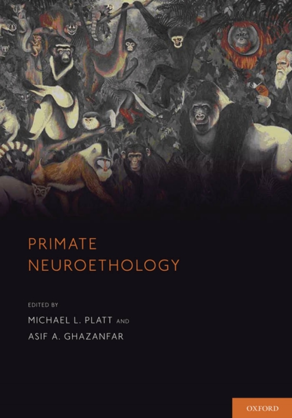 Primate Neuroethology 1st Edition â€“ PDF/EPUB Version Downloadable