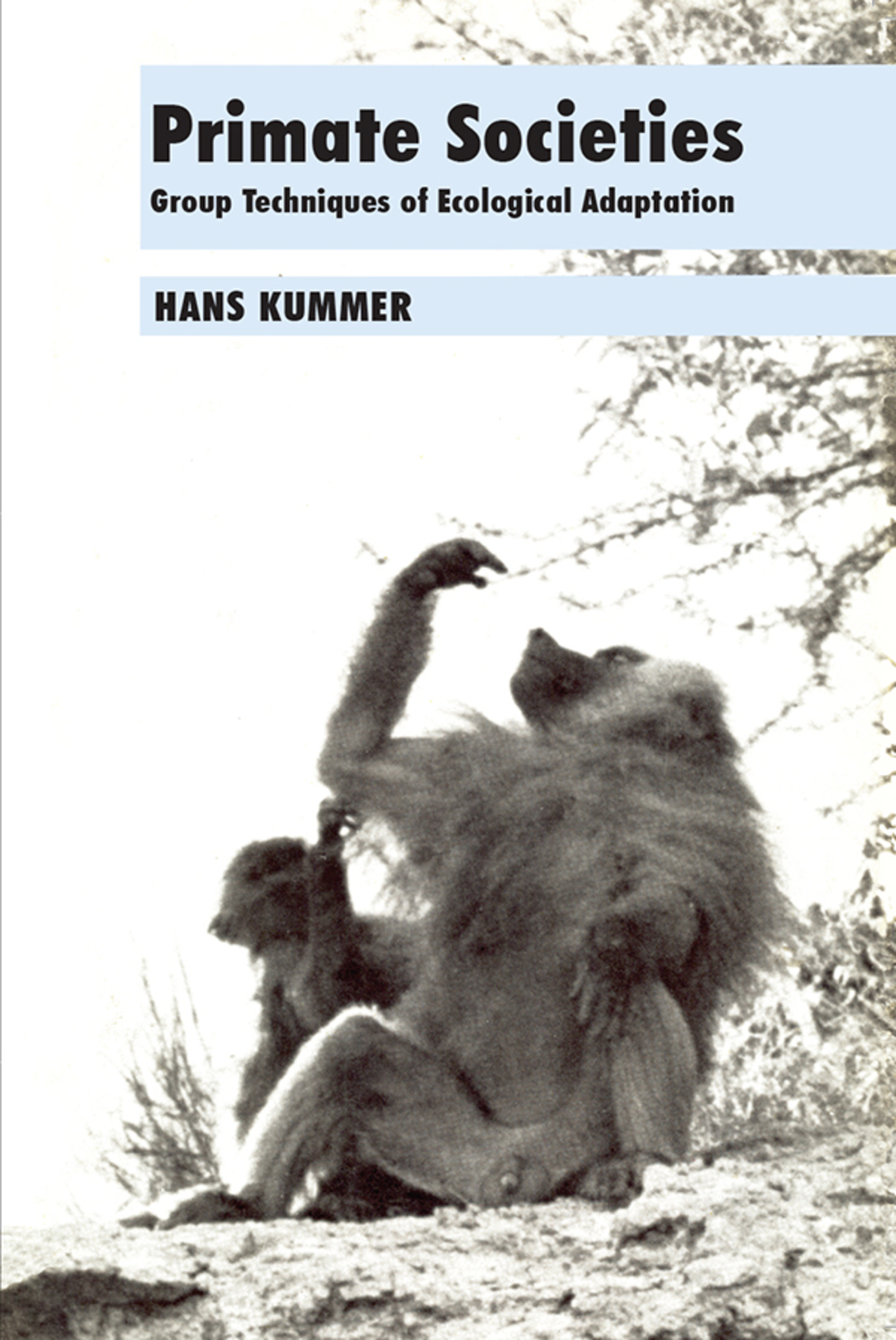 Primate Societies Group Techniques of Ecological Adaptation 1st Edition â€“ PDF/EPUB Version Downloadable