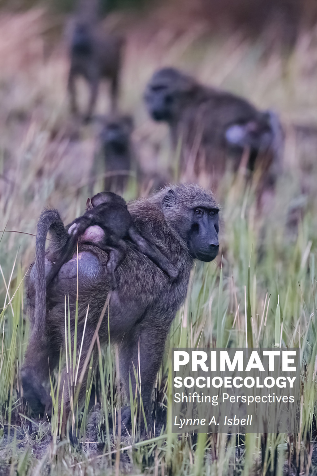 Primate Socioecology Shifting Perspectives  â€“ PDF/EPUB Version Downloadable