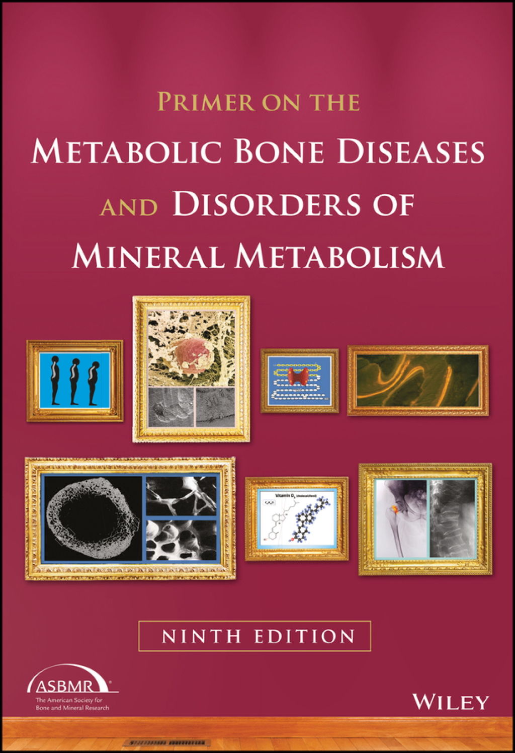 Primer on the Metabolic Bone Diseases and Disorders of Mineral Metabolism 9th Edition â€“ PDF/EPUB Version Downloadable