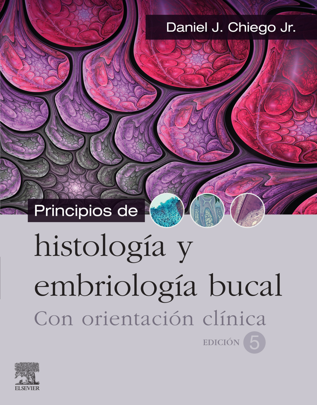 Principios de histologÃ­a y embriologÃ­a bucal con orientaciÃ³n clÃ­nica 5th Edition â€“ PDF/EPUB Version Downloadable