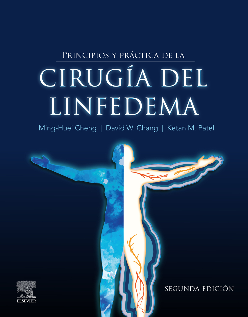 Principios y prÃ¡ctica de la cirugÃ­a del linfedema 2nd Edition â€“ PDF/EPUB Version Downloadable