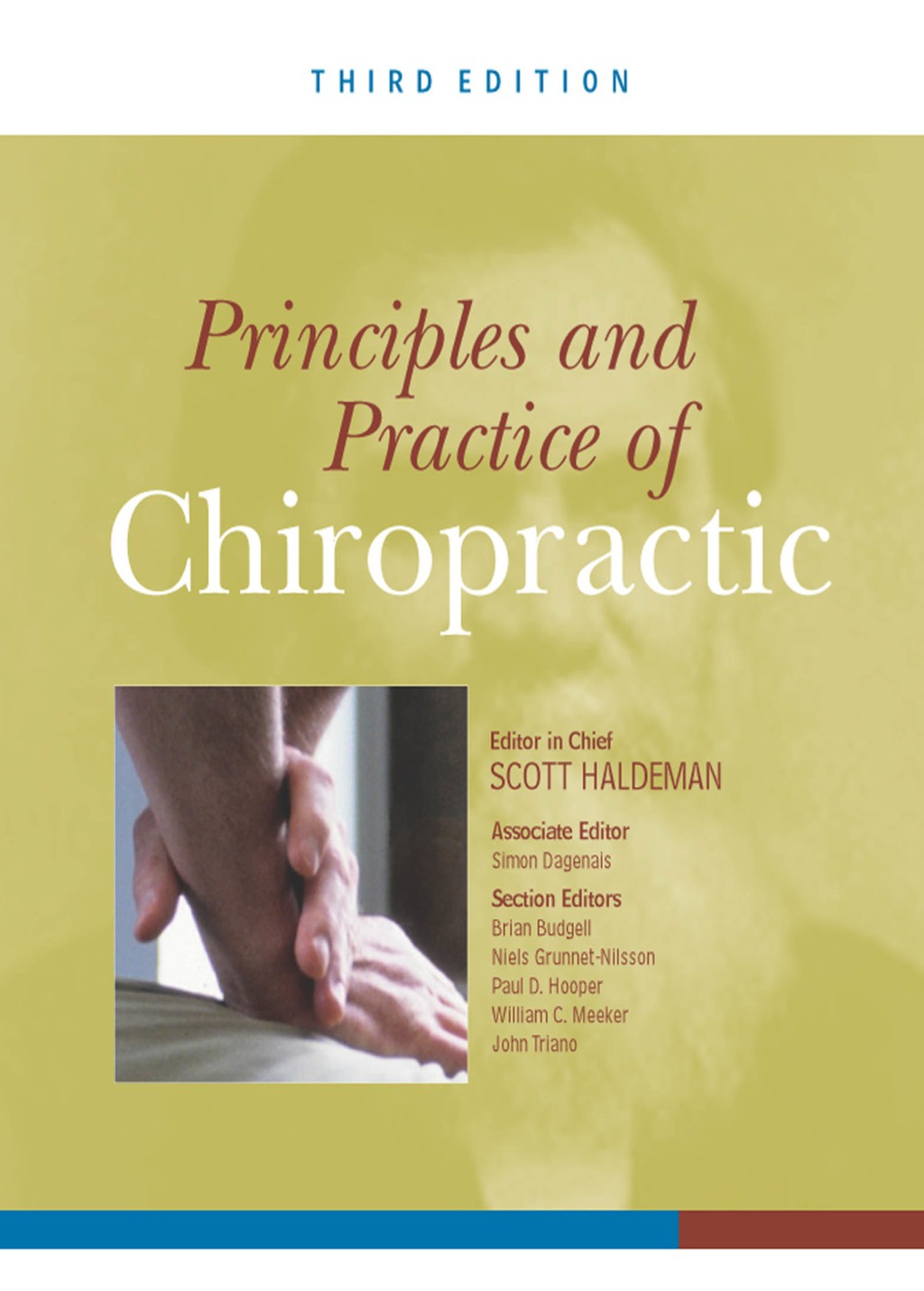 Principles and Practice of Chiropractic, Third Edition 3rd Edition â€“ PDF/EPUB Version Downloadable