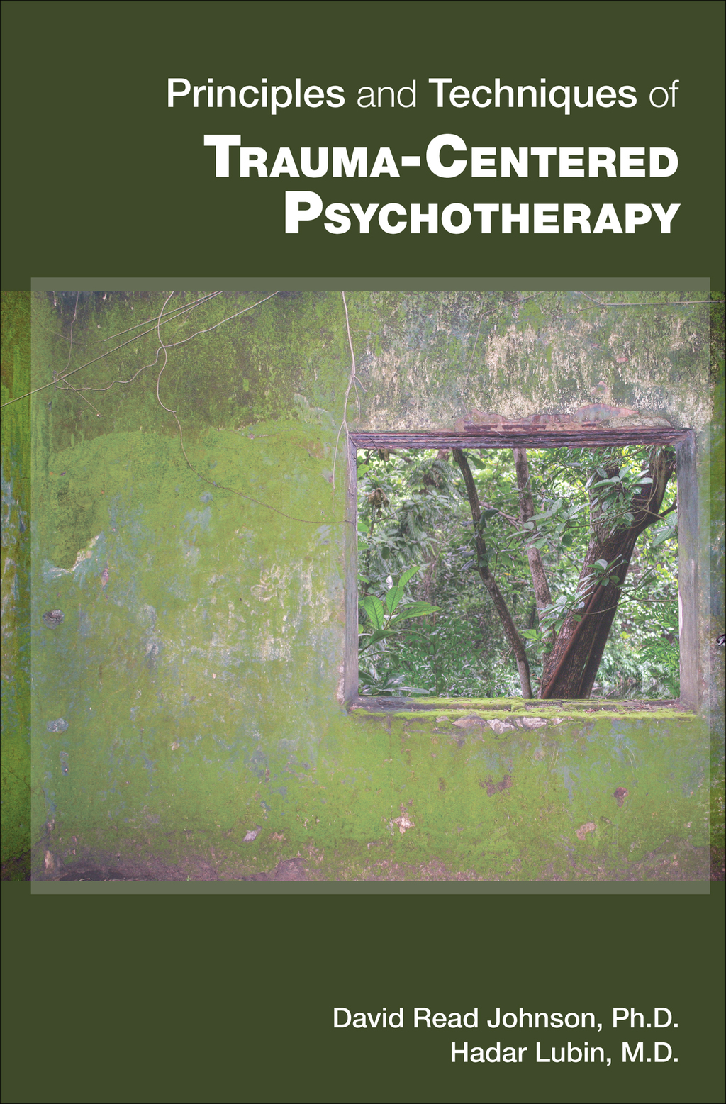 Principles and Techniques of Trauma-Centered Psychotherapy  â€“ PDF/EPUB Version Downloadable