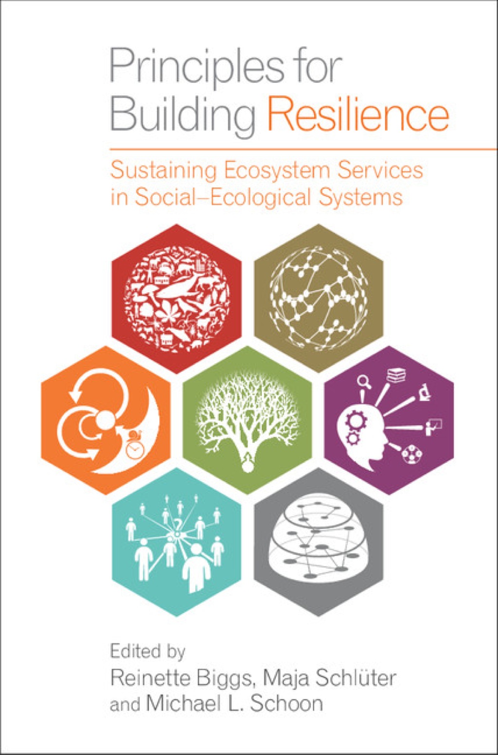 Principles for Building Resilience Sustaining Ecosystem Services in Social-Ecological Systems 1st Edition â€“ PDF/EPUB Version Downloadable