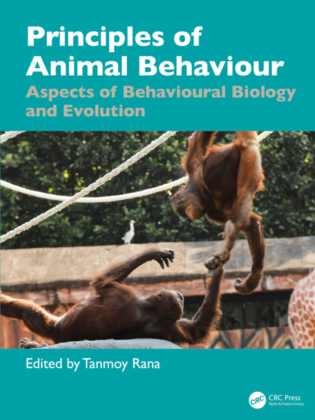 Principles of Animal Behaviour Aspects of Behavioural Biology and Evolution 1st Edition â€“ PDF/EPUB Version Downloadable