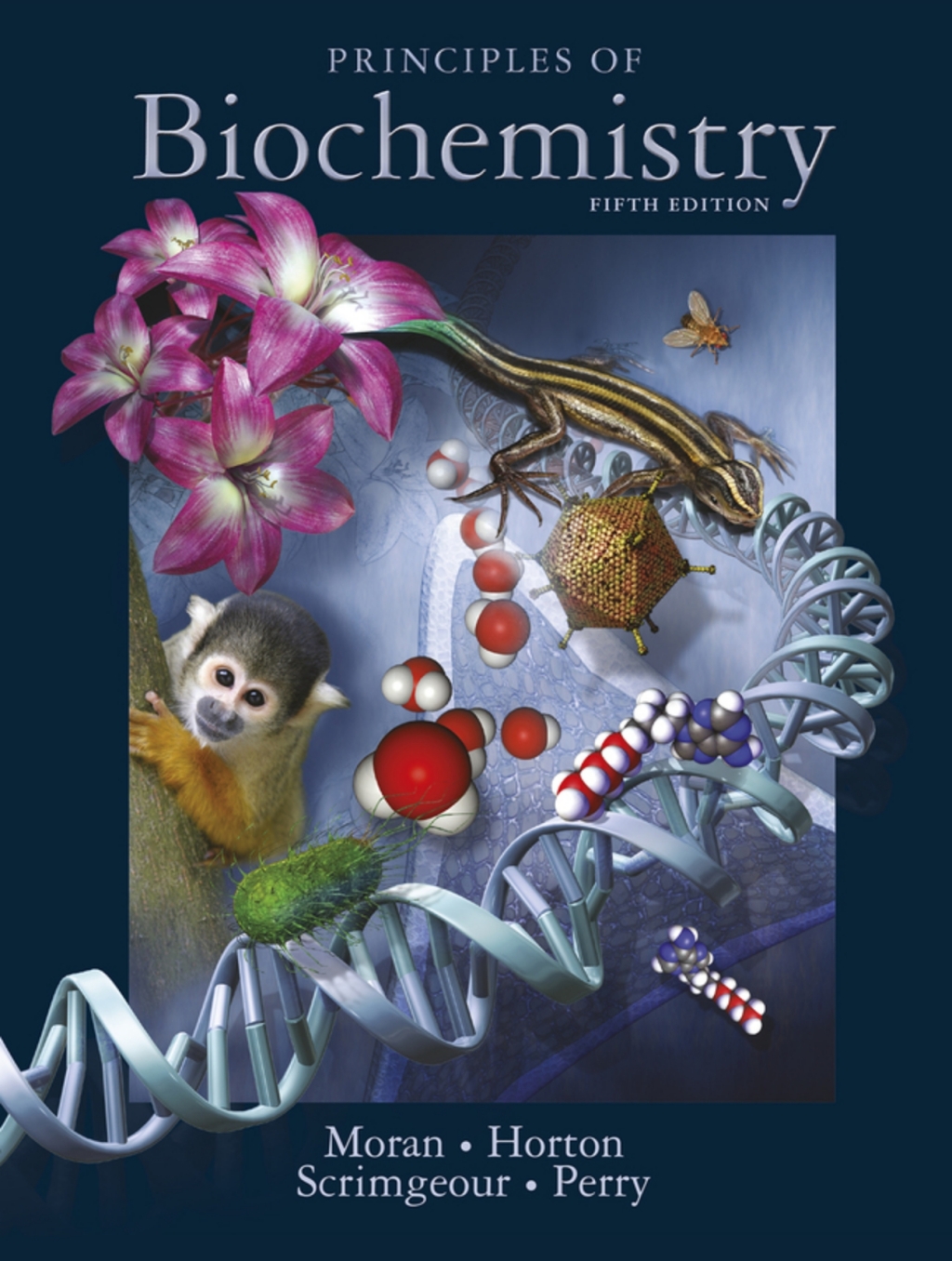 Principles of Biochemistry (Pearson+) 5th Edition â€“ PDF/EPUB Version Downloadable